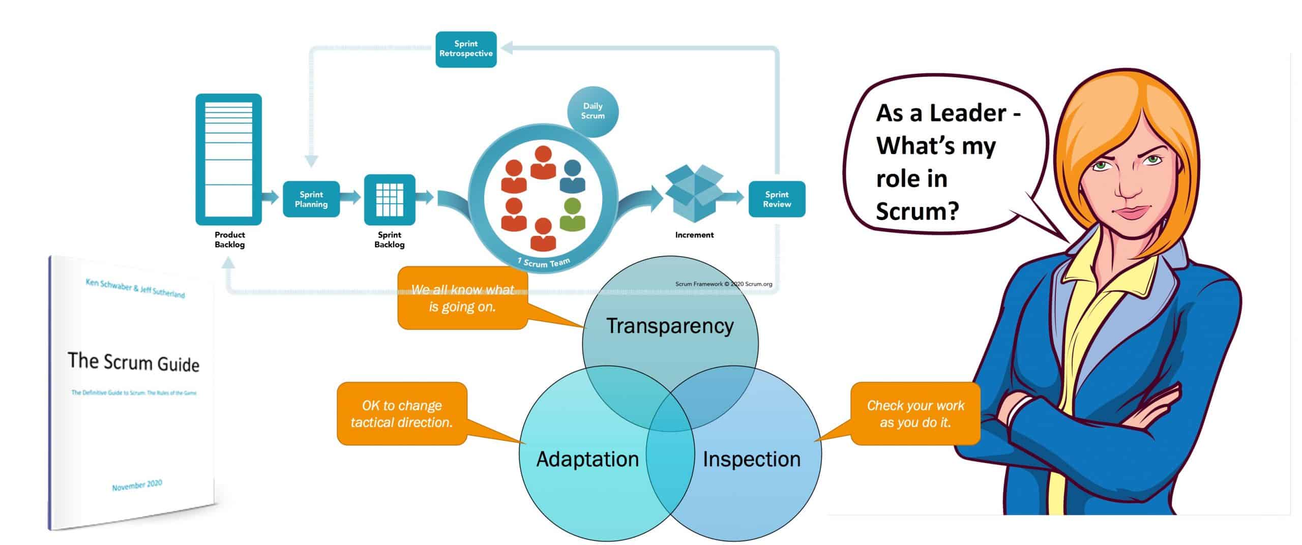 Scrum Leader's Perspective