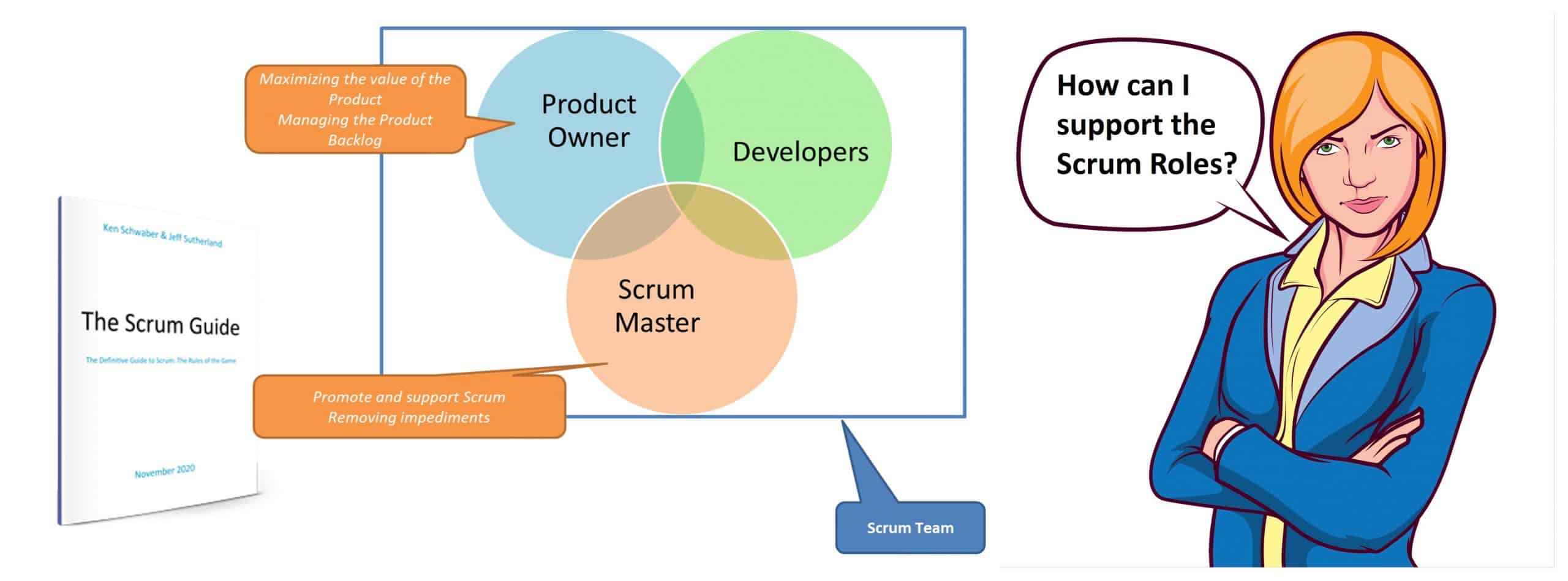 As a Leader How do I support the Scrum Roles?
